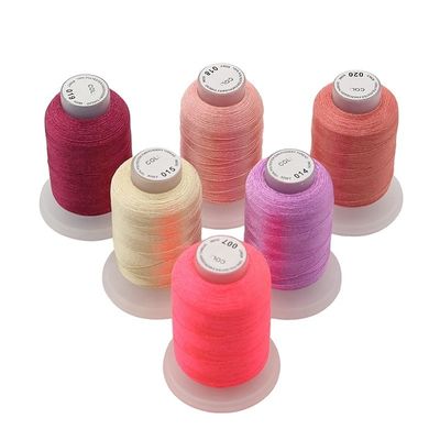 Maschinelle Stickfaden 60wt 40wt Multikolor Polyester 120d/2 1000m für Stickerei