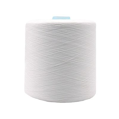 100% Polyestergarn kostenlose Probe ohne Fracht und OEM/ODM-Support
