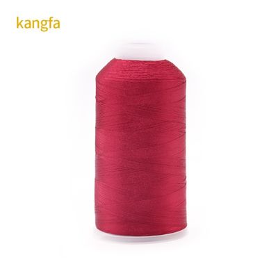 120 g Nettogewicht 120D/2 Hohe Festigkeit Farbfestigkeit Polyester Stickfaden für Spot